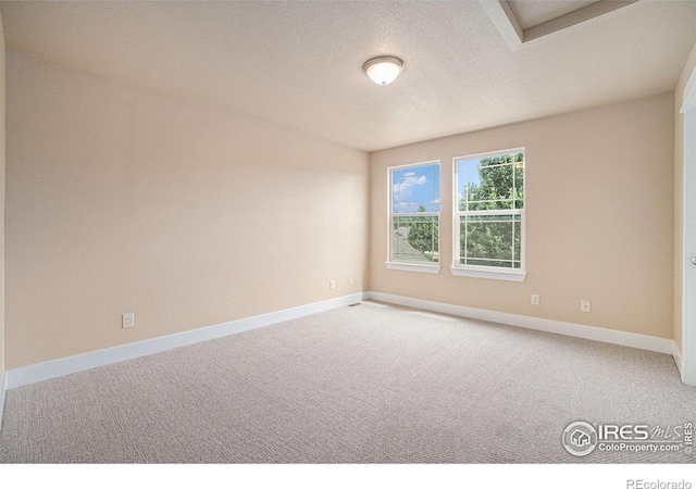 638 Ebon Pica St, Fort Collins, CO 80521 - photo 23