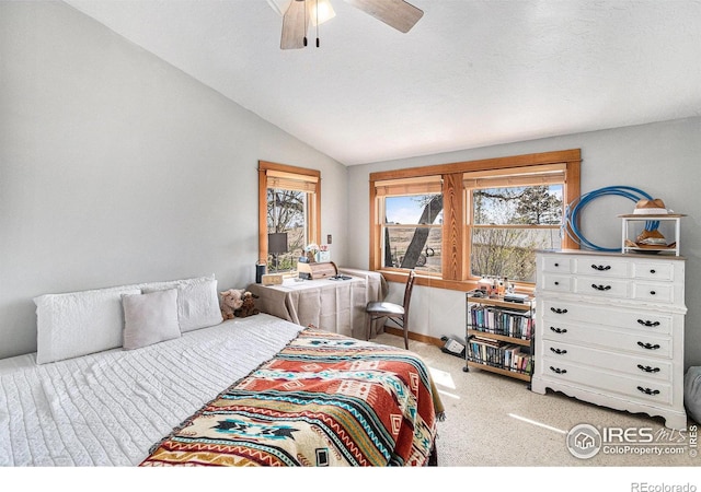 37495 County Road 27, Eaton, CO 80615 - photo 7