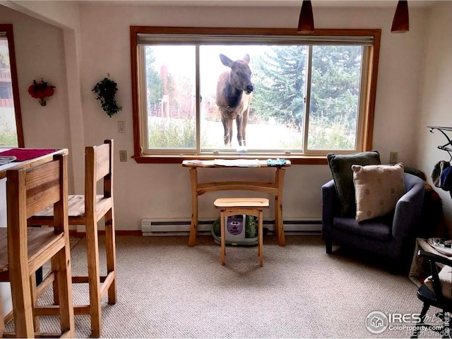 1111 Fairway Club Cir Unit 4, Estes Park, CO 80517 - photo 13