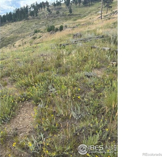 280 County Road 83, Boulder, CO 80302 - photo 3