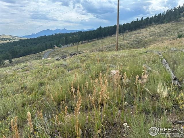 280 County Road 83, Boulder, CO 80302 - photo 4