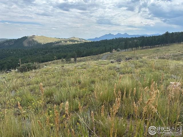 280 County Road 83, Boulder, CO 80302 - photo 5