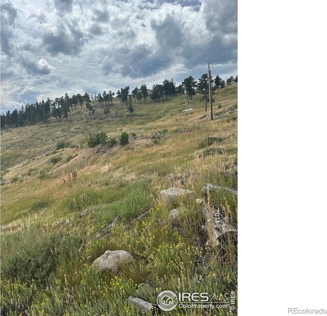 280 County Road 83, Boulder, CO 80302 - photo 6