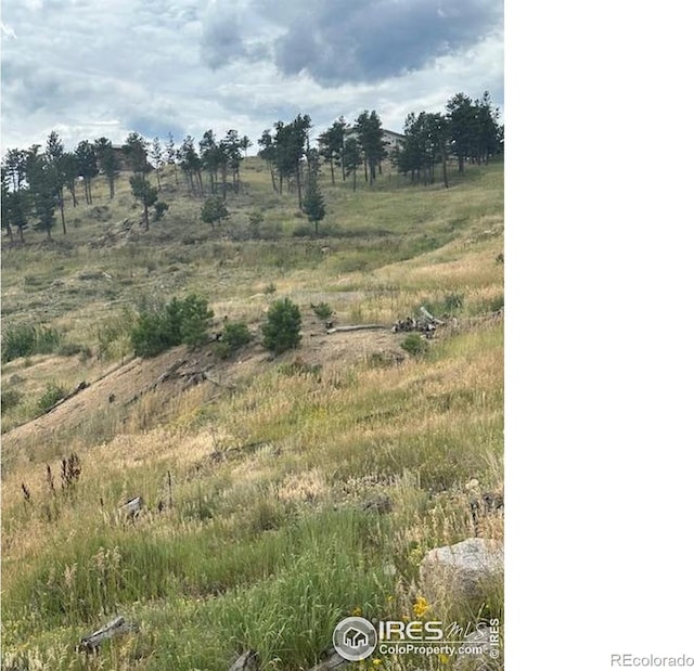 280 County Road 83, Boulder, CO 80302 - photo 7