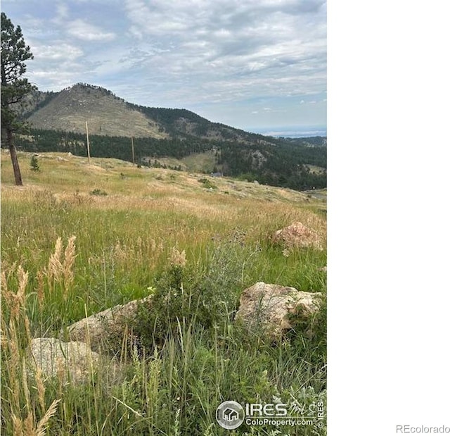 280 County Road 83, Boulder, CO 80302 - photo 8