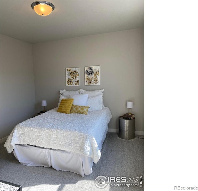4110 S Park Dr, Loveland, CO 80538 - photo 13