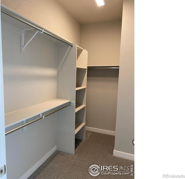 4110 S Park Dr, Loveland, CO 80538 - photo 16