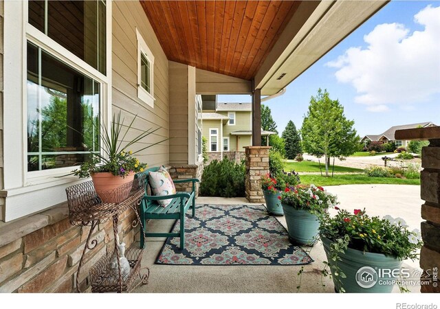 6636 Secretariat Dr, Longmont, CO 80503 - photo 3