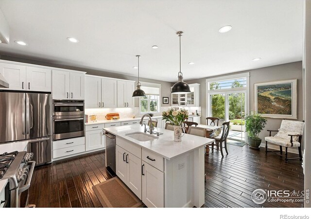 6636 Secretariat Dr, Longmont, CO 80503 - photo 15