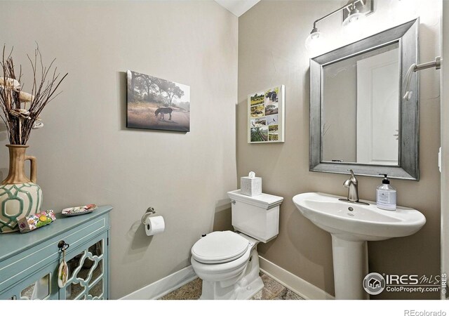 6636 Secretariat Dr, Longmont, CO 80503 - photo 18