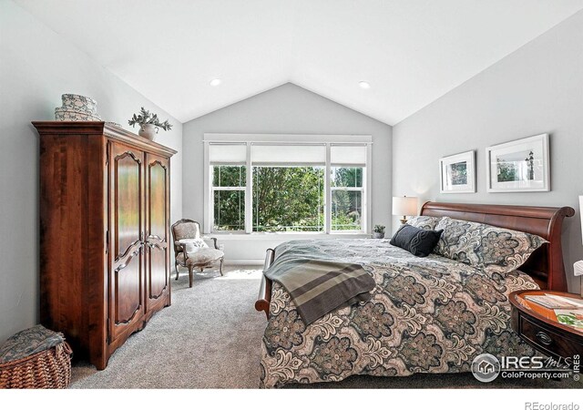 6636 Secretariat Dr, Longmont, CO 80503 - photo 21