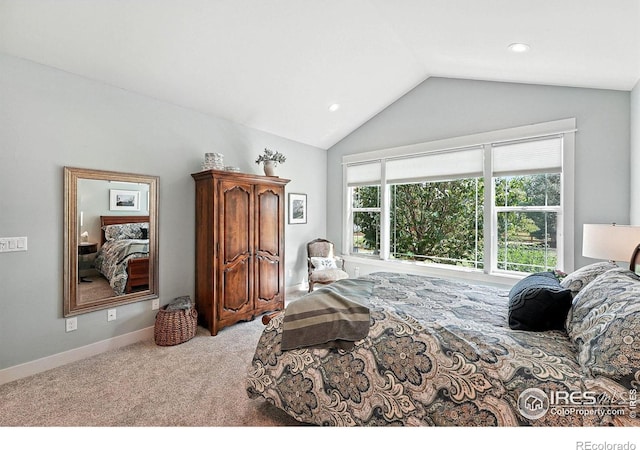 6636 Secretariat Dr, Longmont, CO 80503 - photo 23