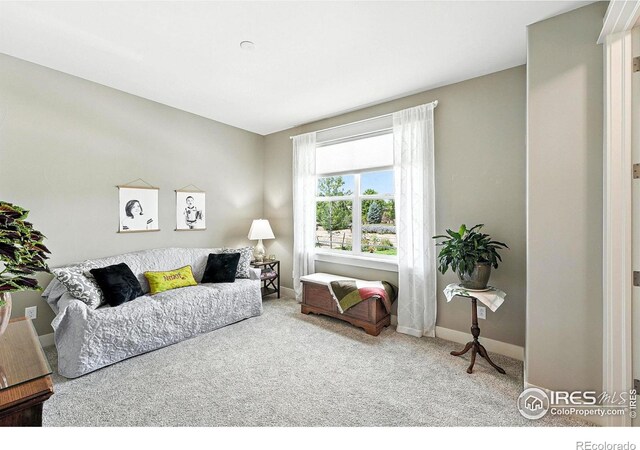 6636 Secretariat Dr, Longmont, CO 80503 - photo 28