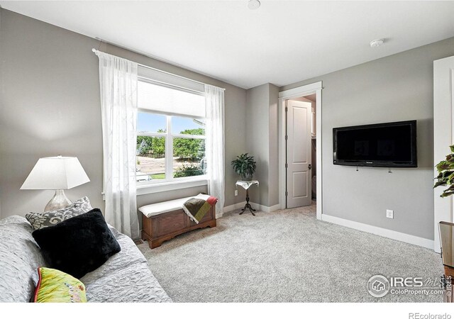 6636 Secretariat Dr, Longmont, CO 80503 - photo 29