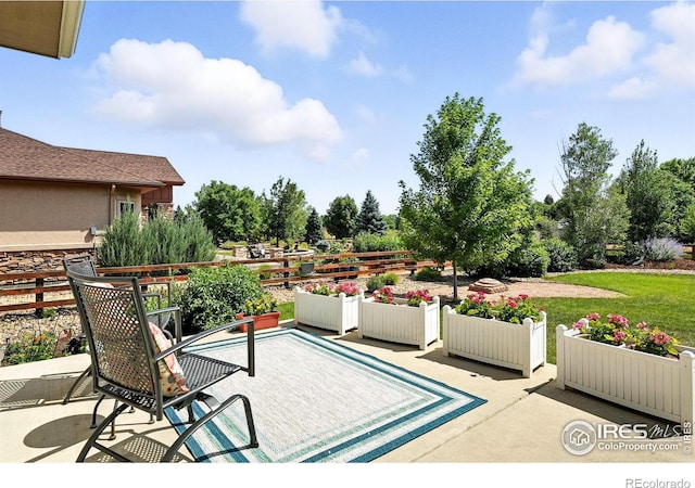 6636 Secretariat Dr, Longmont, CO 80503 - photo 33