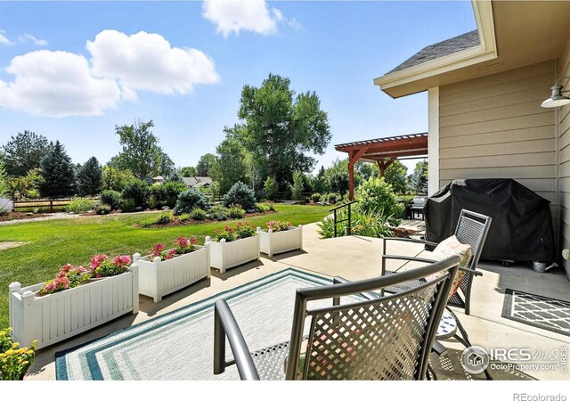 6636 Secretariat Dr, Longmont, CO 80503 - photo 34