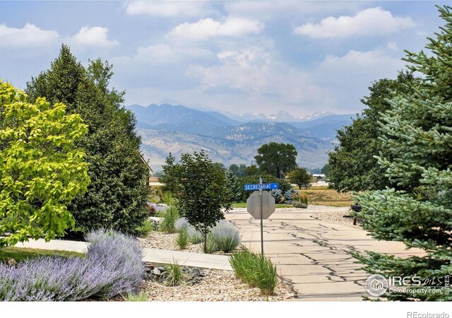 6636 Secretariat Dr, Longmont, CO 80503 - photo 39