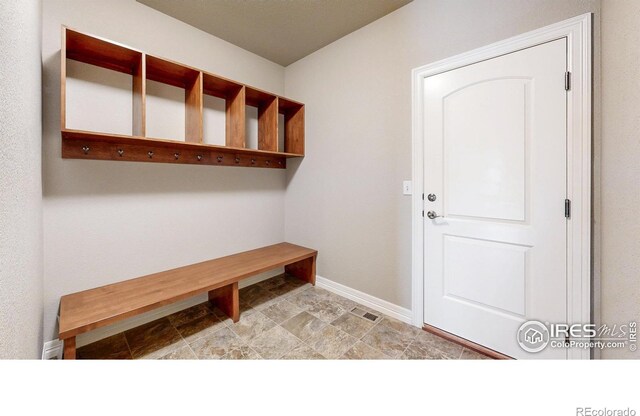 6780 Crooked Stick Dr, Windsor, CO 80550 - photo 20