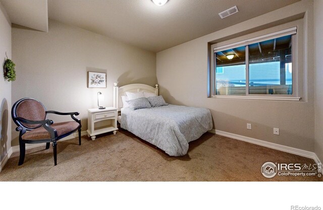 6780 Crooked Stick Dr, Windsor, CO 80550 - photo 25