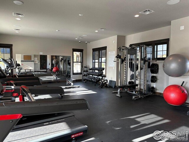 6780 Crooked Stick Dr, Windsor, CO 80550 - photo 39