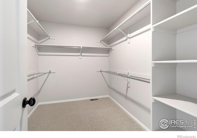 411 Skyraider Way Unit 4, Fort Collins, CO 80524 - photo 29