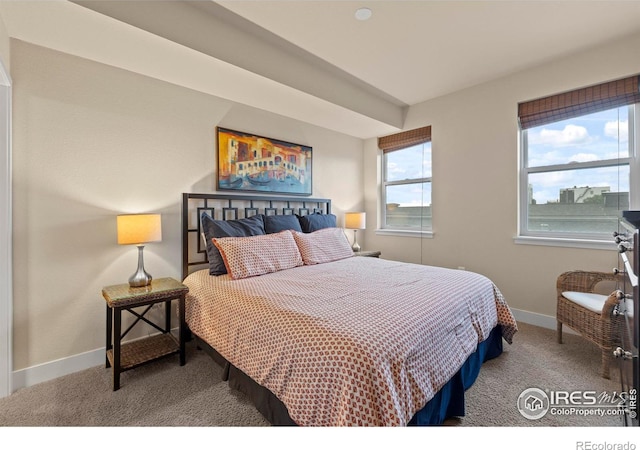 220 Willow St Unit 302, Fort Collins, CO 80524 - photo 25