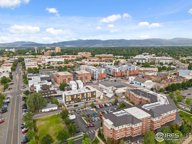 220 Willow St Unit 302, Fort Collins, CO 80524 - photo 37
