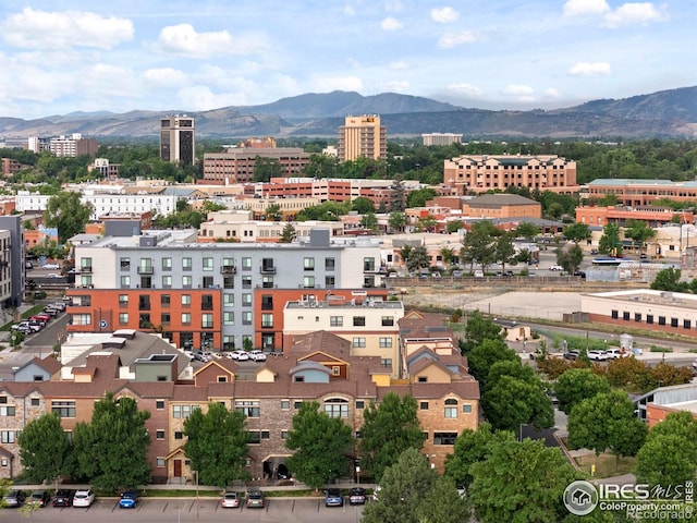 220 Willow St Unit 302, Fort Collins, CO 80524 - photo 38