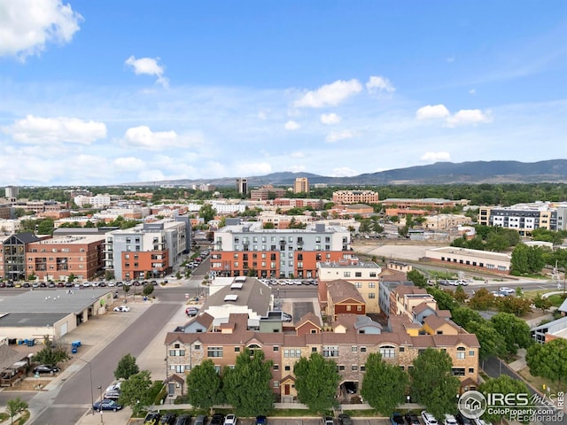 220 Willow St Unit 302, Fort Collins, CO 80524 - photo 39