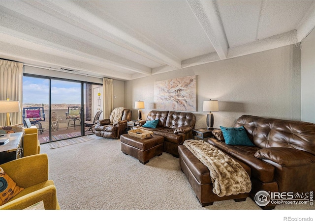 415 S Howes St Unit 1001, Fort Collins, CO 80521 - photo 2