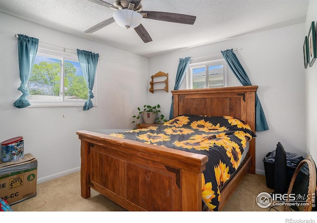 1703 29th Avenue Ct, Greeley, CO 80634 - photo 6