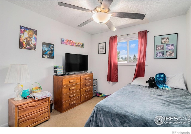 1703 29th Avenue Ct, Greeley, CO 80634 - photo 7