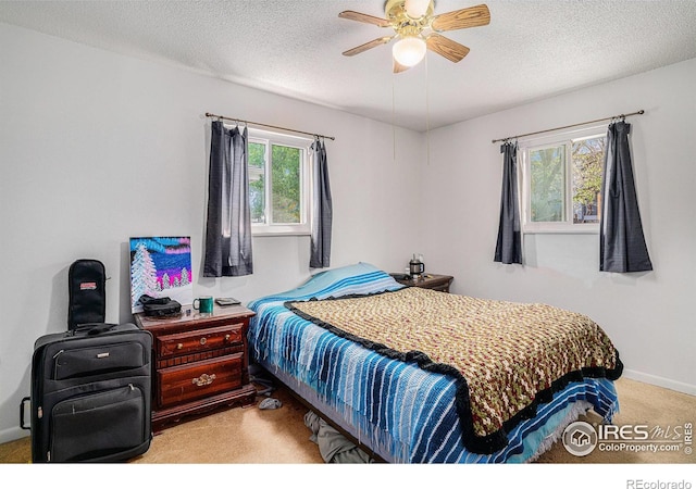 1703 29th Avenue Ct, Greeley, CO 80634 - photo 8