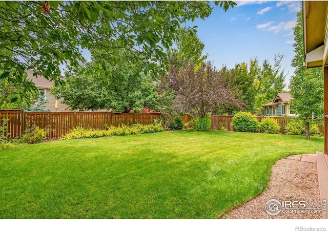 4543 Cole Dr, Loveland, CO 80538 - photo 32