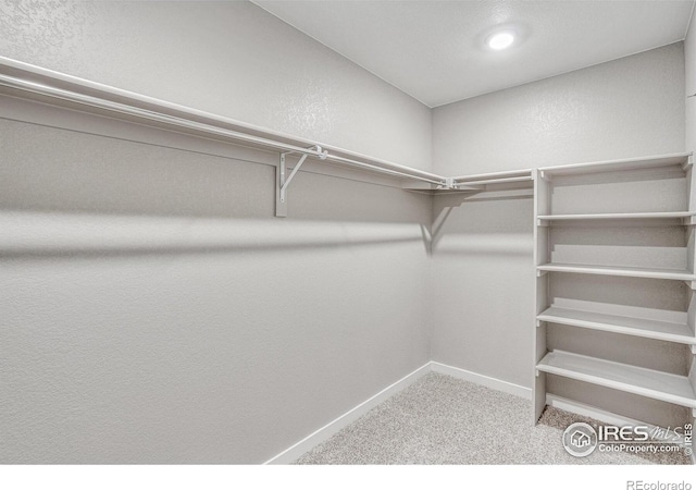 1708 Floating Leaf Dr, Fort Collins, CO 80528 - photo 27