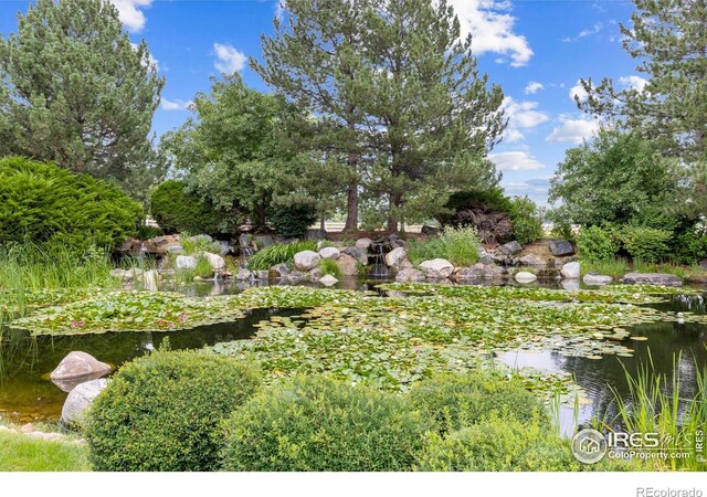 407 Fairfield Ln, Louisville, CO 80027 - photo 29