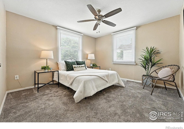 2080 S King St, Denver, CO 80219 - photo 12