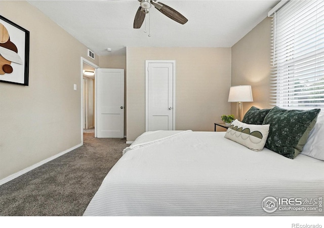 2080 S King St, Denver, CO 80219 - photo 13