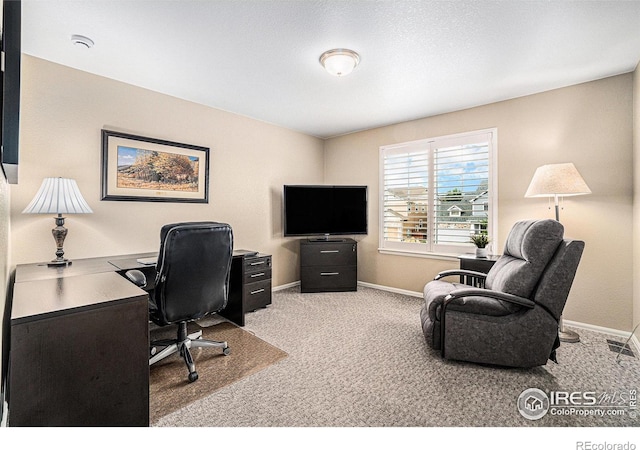 5622 Foxfire St, Timnath, CO 80547 - photo 19