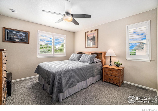 5622 Foxfire St, Timnath, CO 80547 - photo 21
