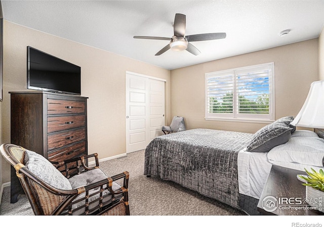 5622 Foxfire St, Timnath, CO 80547 - photo 24