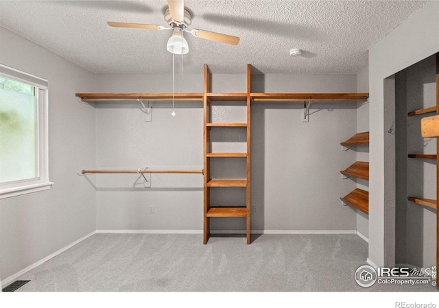10954 W 100th Dr, Broomfield, CO 80021 - photo 20