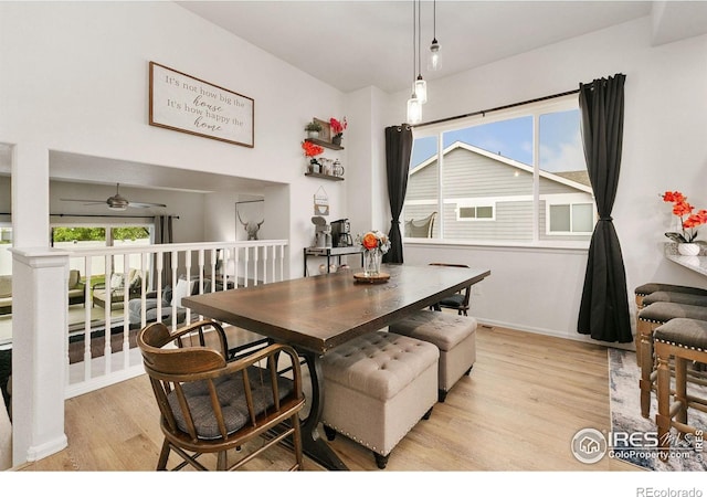 725 Mt Evans Ave, Severance, CO 80550 - photo 5