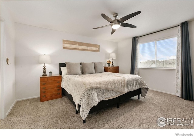 725 Mt Evans Ave, Severance, CO 80550 - photo 13