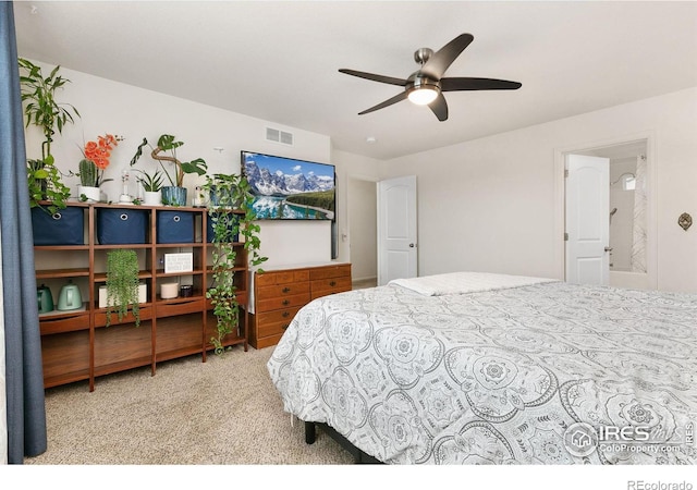 725 Mt Evans Ave, Severance, CO 80550 - photo 14