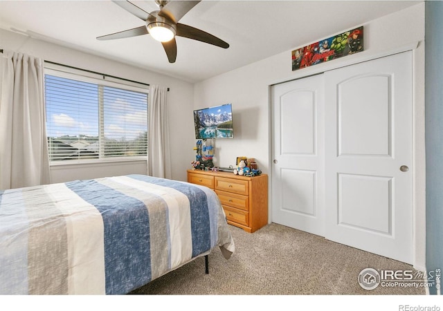 725 Mt Evans Ave, Severance, CO 80550 - photo 18