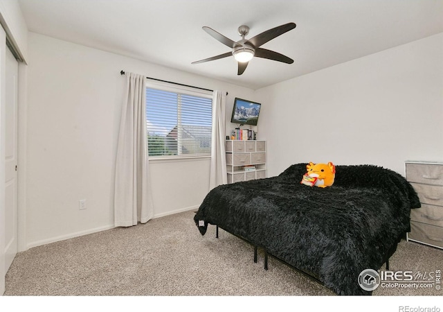 725 Mt Evans Ave, Severance, CO 80550 - photo 20