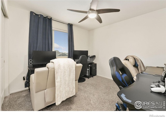 725 Mt Evans Ave, Severance, CO 80550 - photo 22