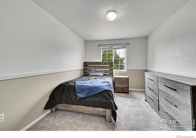 514 Peyton Dr, Fort Collins, CO 80525 - photo 27