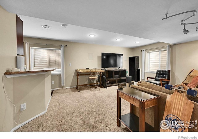 514 Peyton Dr, Fort Collins, CO 80525 - photo 28